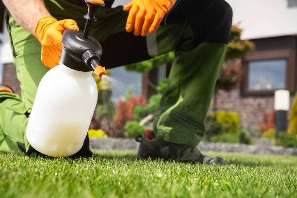Best Exterminator Services  in Cleves, OH