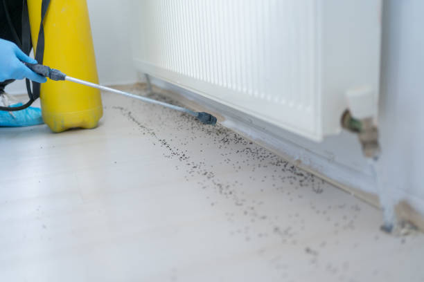 Best Wildlife Control Services  in Cleves, OH